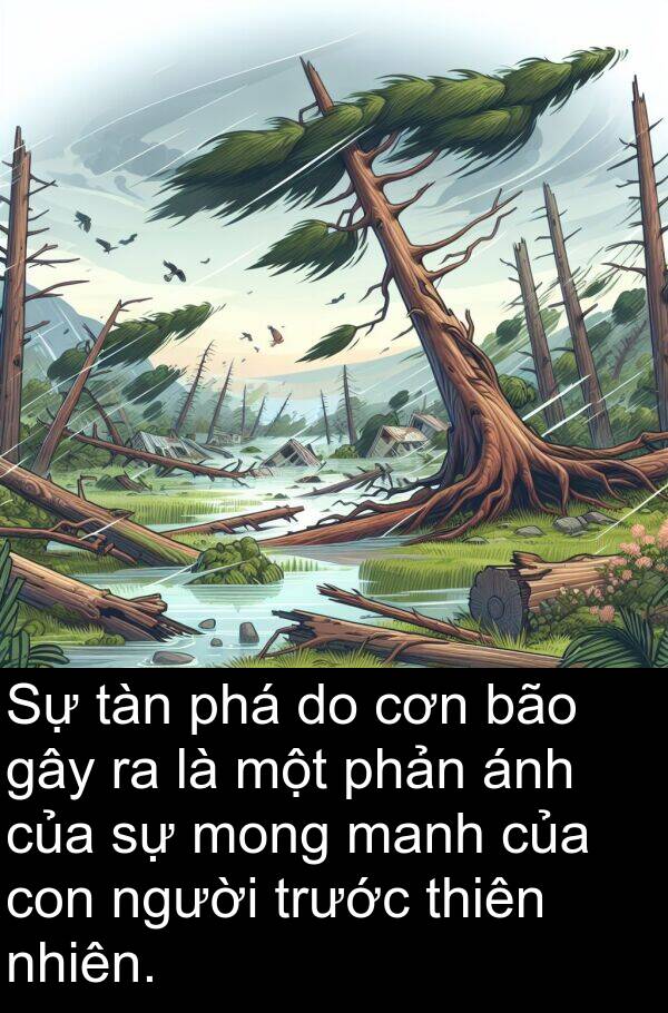 tàn: Sự tàn phá do cơn bão gây ra là một phản ánh của sự mong manh của con người trước thiên nhiên.