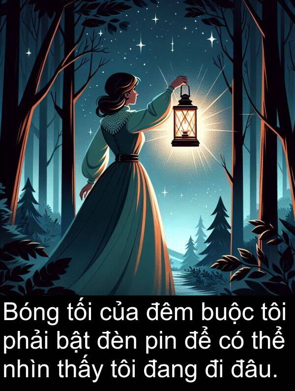 đâu: Bóng tối của đêm buộc tôi phải bật đèn pin để có thể nhìn thấy tôi đang đi đâu.