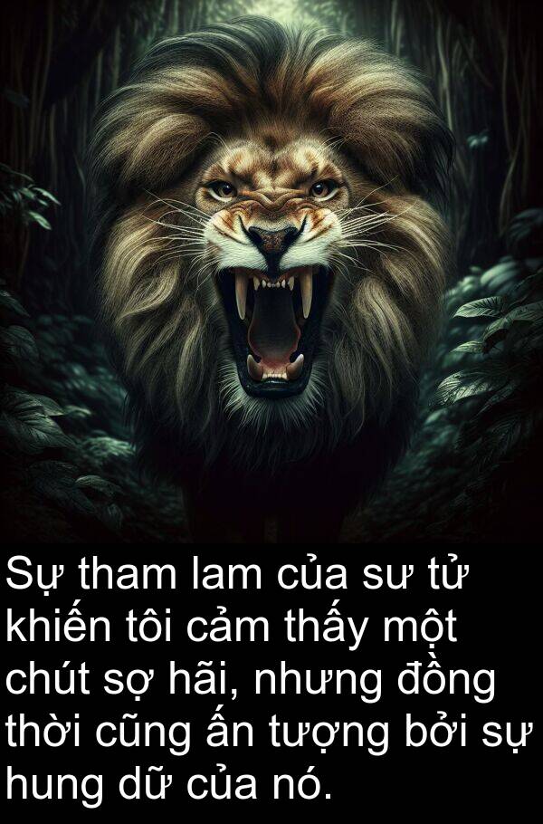 hung: Sự tham lam của sư tử khiến tôi cảm thấy một chút sợ hãi, nhưng đồng thời cũng ấn tượng bởi sự hung dữ của nó.