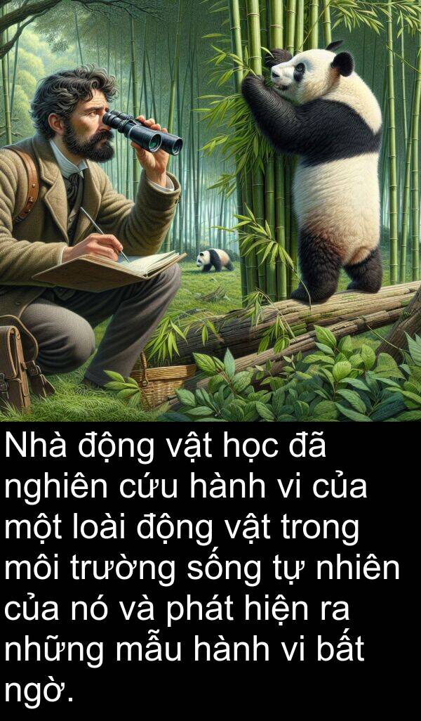 mẫu: Nhà động vật học đã nghiên cứu hành vi của một loài động vật trong môi trường sống tự nhiên của nó và phát hiện ra những mẫu hành vi bất ngờ.