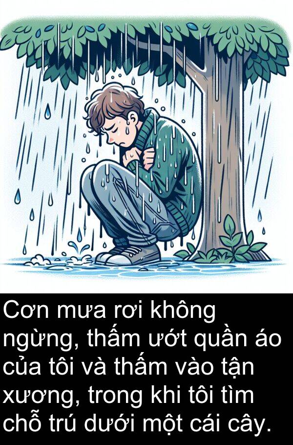 thấm: Cơn mưa rơi không ngừng, thấm ướt quần áo của tôi và thấm vào tận xương, trong khi tôi tìm chỗ trú dưới một cái cây.