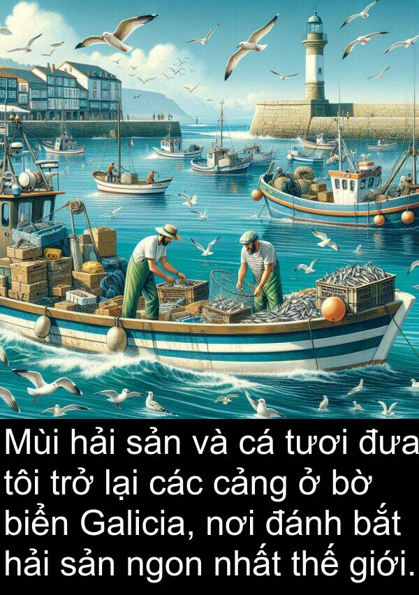 đánh: Mùi hải sản và cá tươi đưa tôi trở lại các cảng ở bờ biển Galicia, nơi đánh bắt hải sản ngon nhất thế giới.