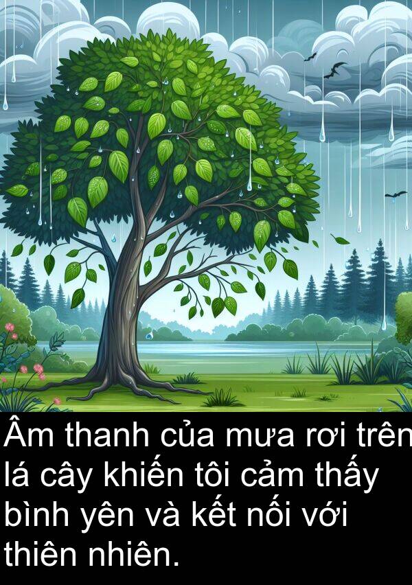 nối: Âm thanh của mưa rơi trên lá cây khiến tôi cảm thấy bình yên và kết nối với thiên nhiên.