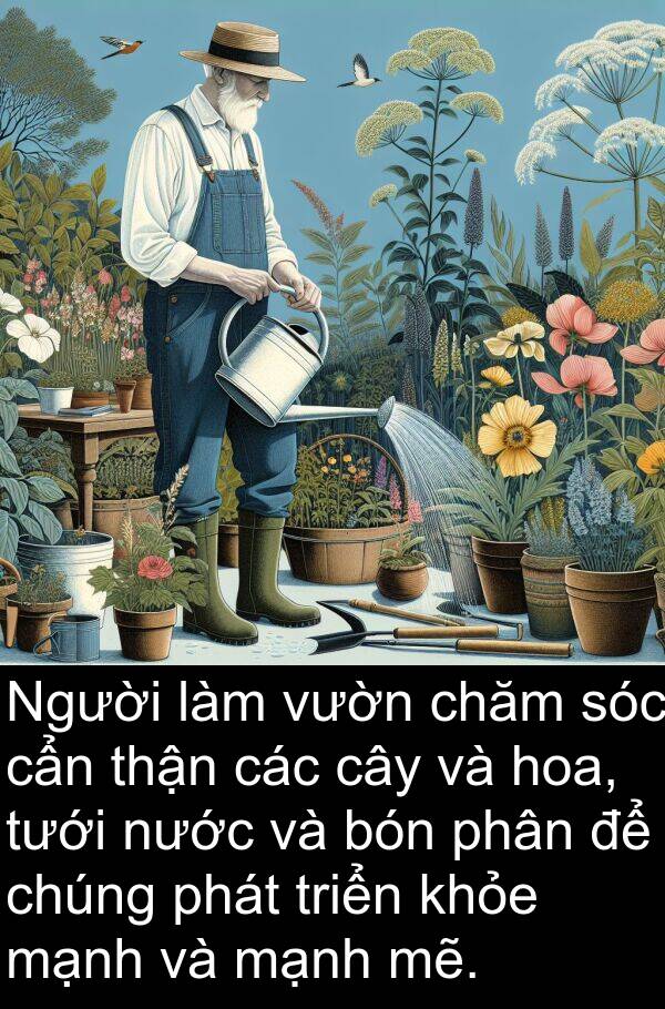 thận: Người làm vườn chăm sóc cẩn thận các cây và hoa, tưới nước và bón phân để chúng phát triển khỏe mạnh và mạnh mẽ.