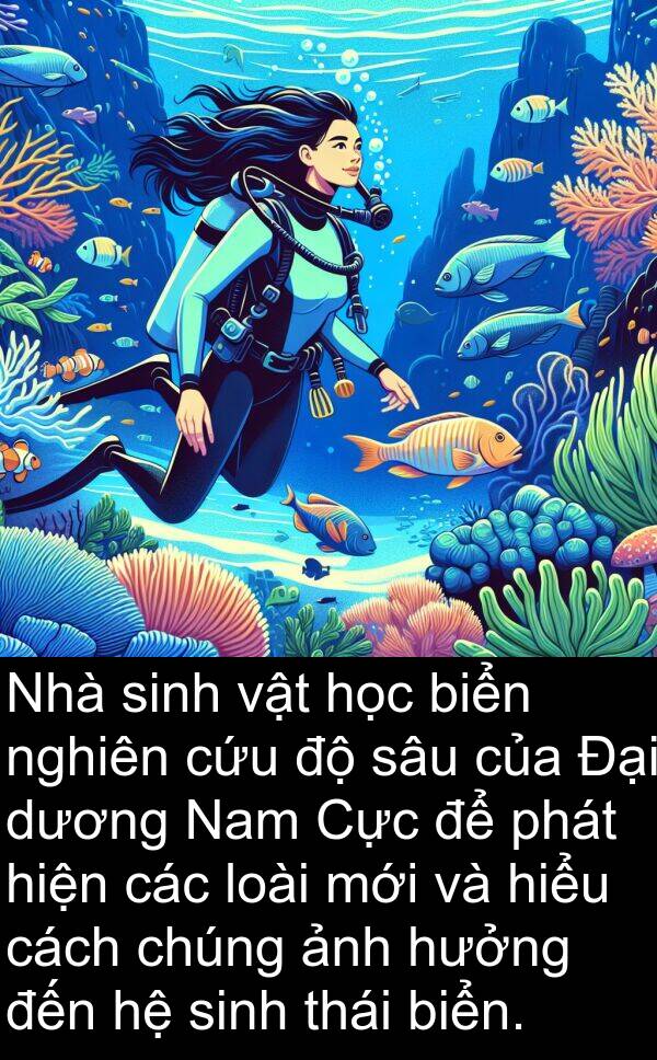 dương: Nhà sinh vật học biển nghiên cứu độ sâu của Đại dương Nam Cực để phát hiện các loài mới và hiểu cách chúng ảnh hưởng đến hệ sinh thái biển.