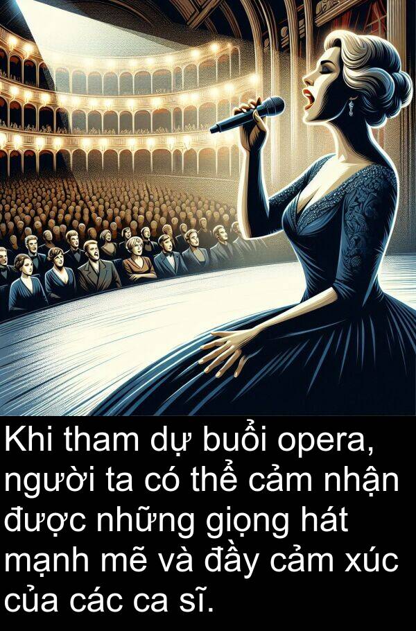 opera: Khi tham dự buổi opera, người ta có thể cảm nhận được những giọng hát mạnh mẽ và đầy cảm xúc của các ca sĩ.