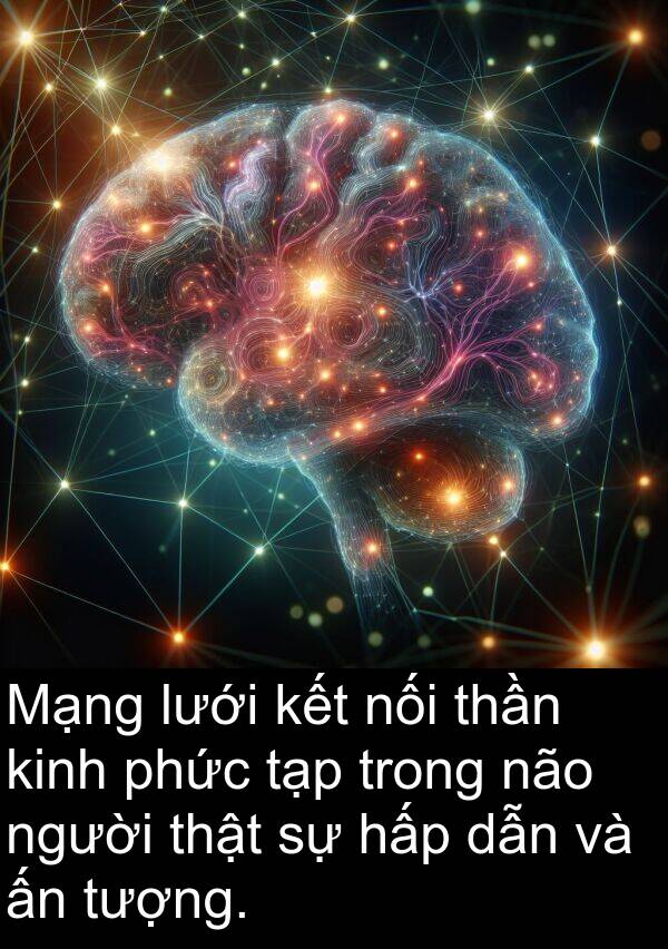 nối: Mạng lưới kết nối thần kinh phức tạp trong não người thật sự hấp dẫn và ấn tượng.