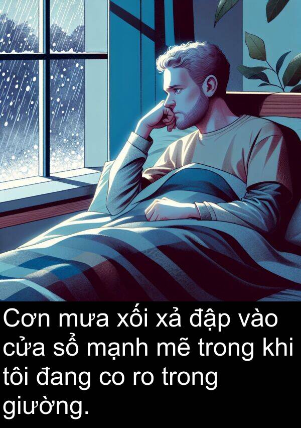 đập: Cơn mưa xối xả đập vào cửa sổ mạnh mẽ trong khi tôi đang co ro trong giường.
