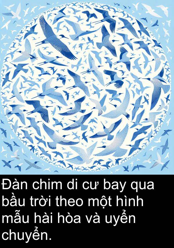 chuyển: Đàn chim di cư bay qua bầu trời theo một hình mẫu hài hòa và uyển chuyển.