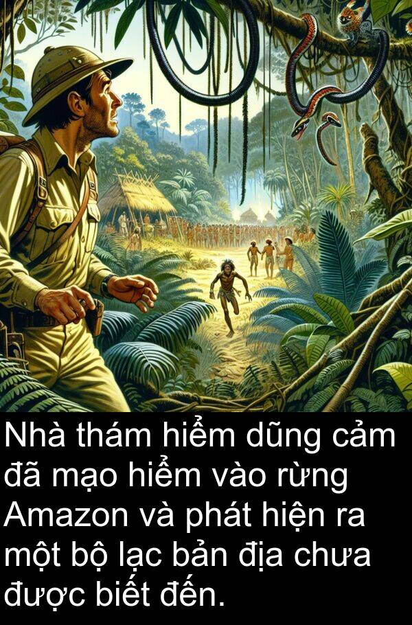 mạo: Nhà thám hiểm dũng cảm đã mạo hiểm vào rừng Amazon và phát hiện ra một bộ lạc bản địa chưa được biết đến.