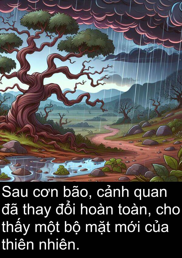 hoàn: Sau cơn bão, cảnh quan đã thay đổi hoàn toàn, cho thấy một bộ mặt mới của thiên nhiên.