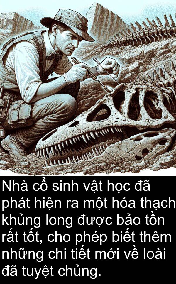 long: Nhà cổ sinh vật học đã phát hiện ra một hóa thạch khủng long được bảo tồn rất tốt, cho phép biết thêm những chi tiết mới về loài đã tuyệt chủng.