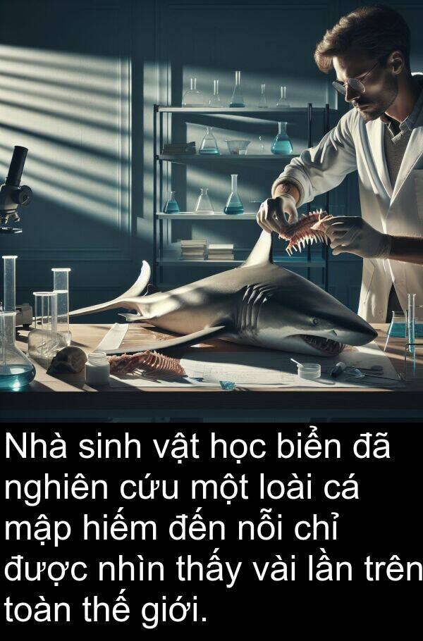 mập: Nhà sinh vật học biển đã nghiên cứu một loài cá mập hiếm đến nỗi chỉ được nhìn thấy vài lần trên toàn thế giới.