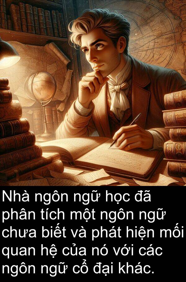 mối: Nhà ngôn ngữ học đã phân tích một ngôn ngữ chưa biết và phát hiện mối quan hệ của nó với các ngôn ngữ cổ đại khác.