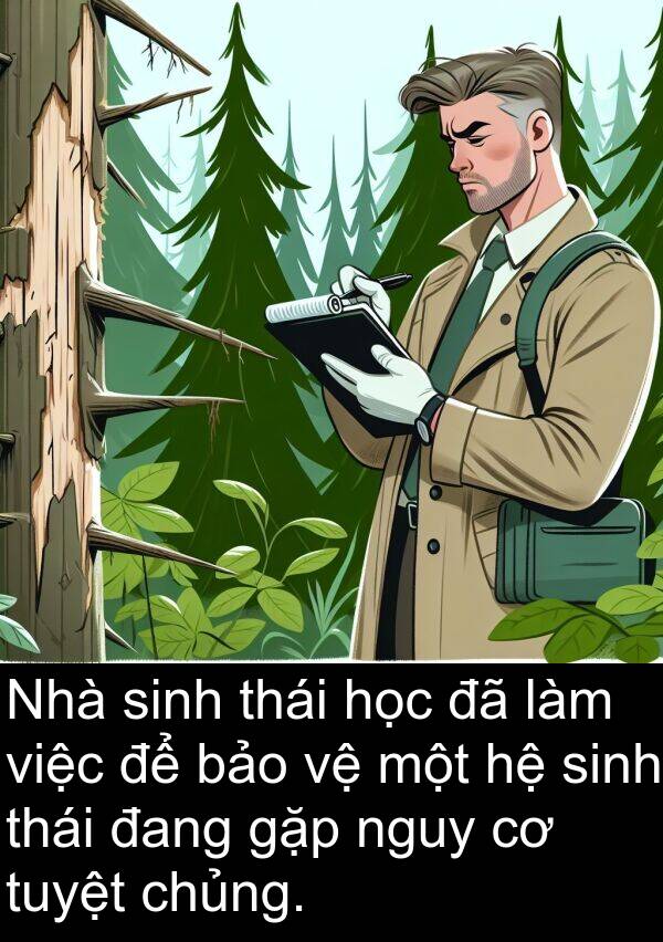 gặp: Nhà sinh thái học đã làm việc để bảo vệ một hệ sinh thái đang gặp nguy cơ tuyệt chủng.