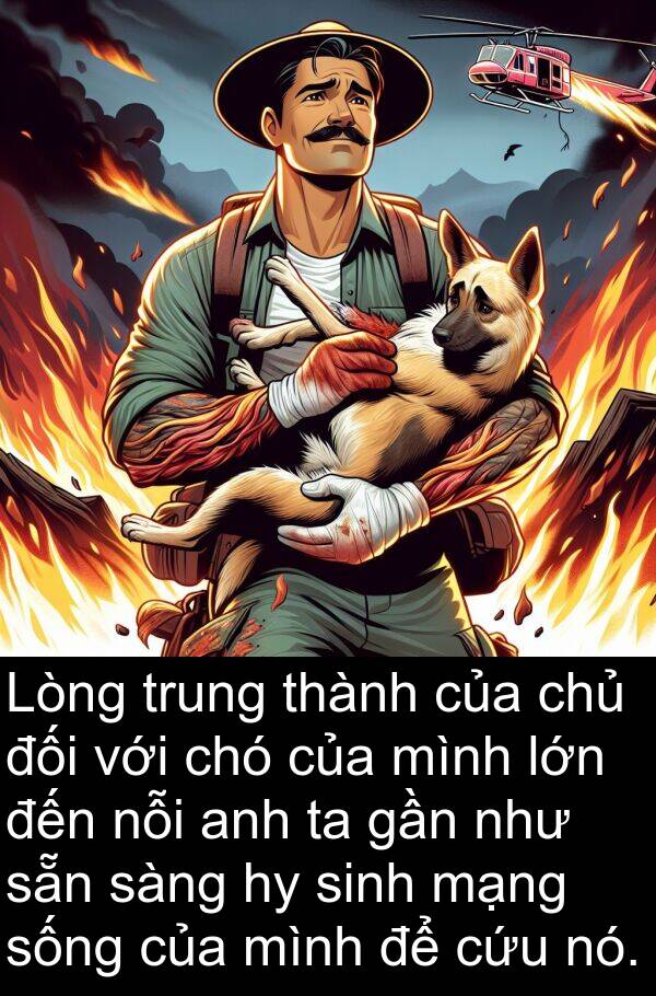 mạng: Lòng trung thành của chủ đối với chó của mình lớn đến nỗi anh ta gần như sẵn sàng hy sinh mạng sống của mình để cứu nó.