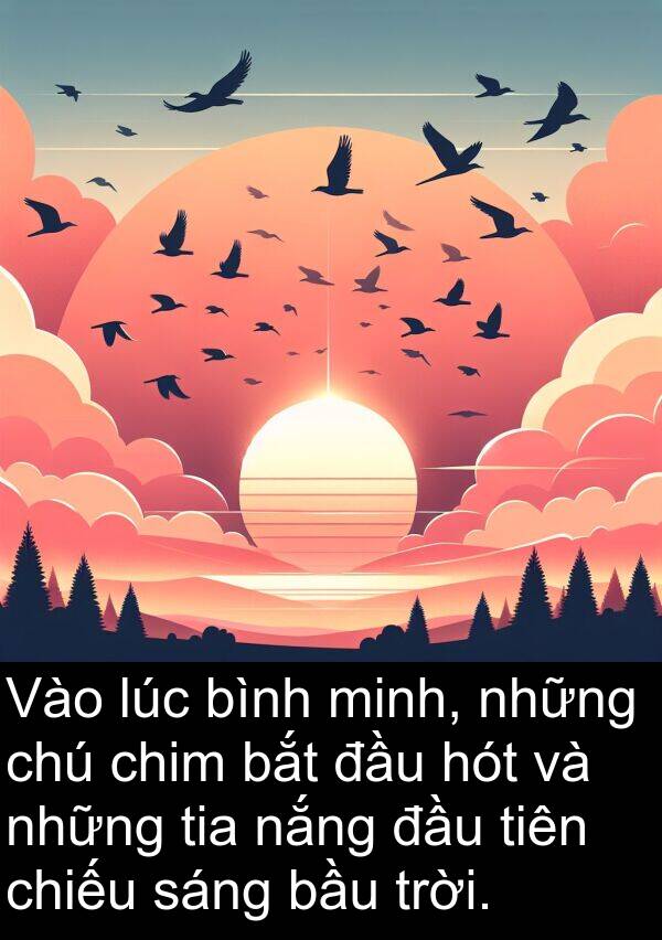 tia: Vào lúc bình minh, những chú chim bắt đầu hót và những tia nắng đầu tiên chiếu sáng bầu trời.