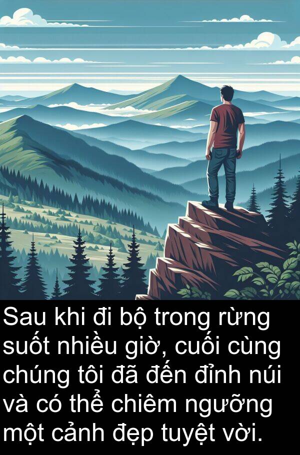 đỉnh: Sau khi đi bộ trong rừng suốt nhiều giờ, cuối cùng chúng tôi đã đến đỉnh núi và có thể chiêm ngưỡng một cảnh đẹp tuyệt vời.