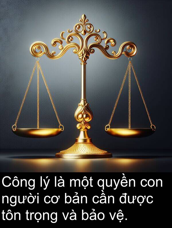 vệ: Công lý là một quyền con người cơ bản cần được tôn trọng và bảo vệ.