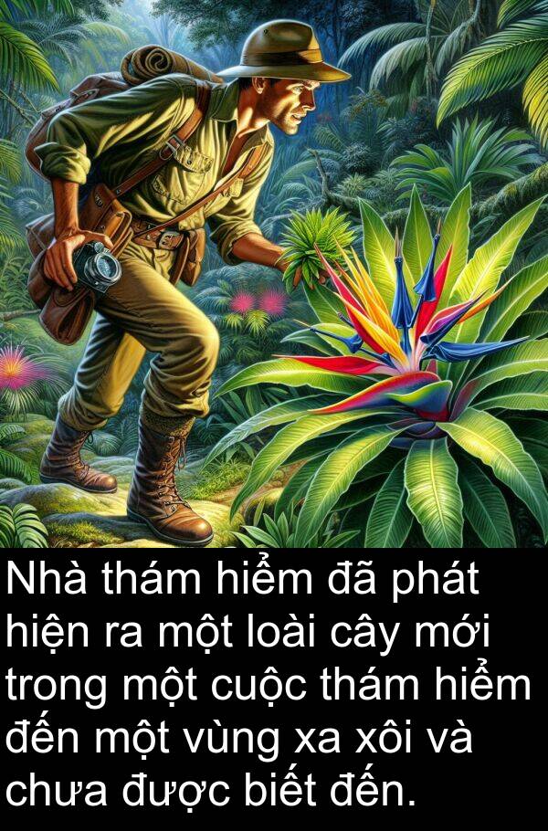 vùng: Nhà thám hiểm đã phát hiện ra một loài cây mới trong một cuộc thám hiểm đến một vùng xa xôi và chưa được biết đến.