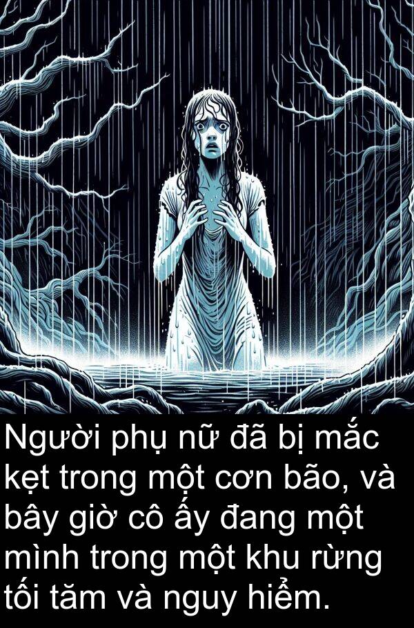 mắc: Người phụ nữ đã bị mắc kẹt trong một cơn bão, và bây giờ cô ấy đang một mình trong một khu rừng tối tăm và nguy hiểm.