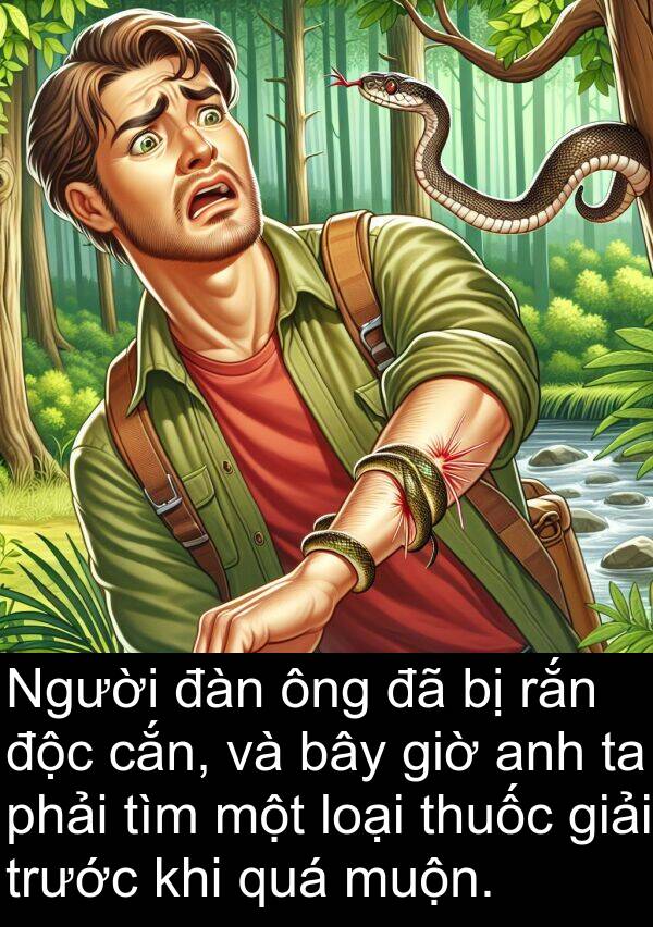 độc: Người đàn ông đã bị rắn độc cắn, và bây giờ anh ta phải tìm một loại thuốc giải trước khi quá muộn.