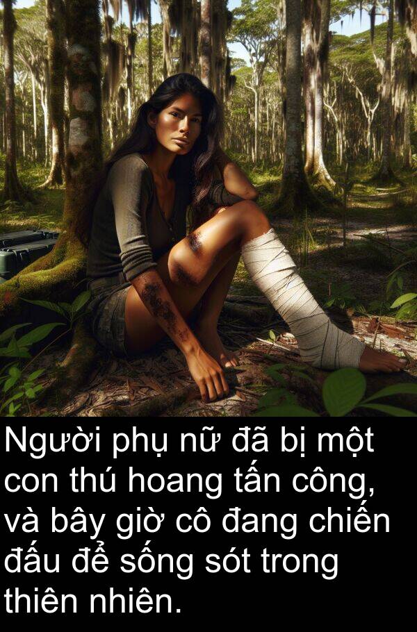 đấu: Người phụ nữ đã bị một con thú hoang tấn công, và bây giờ cô đang chiến đấu để sống sót trong thiên nhiên.