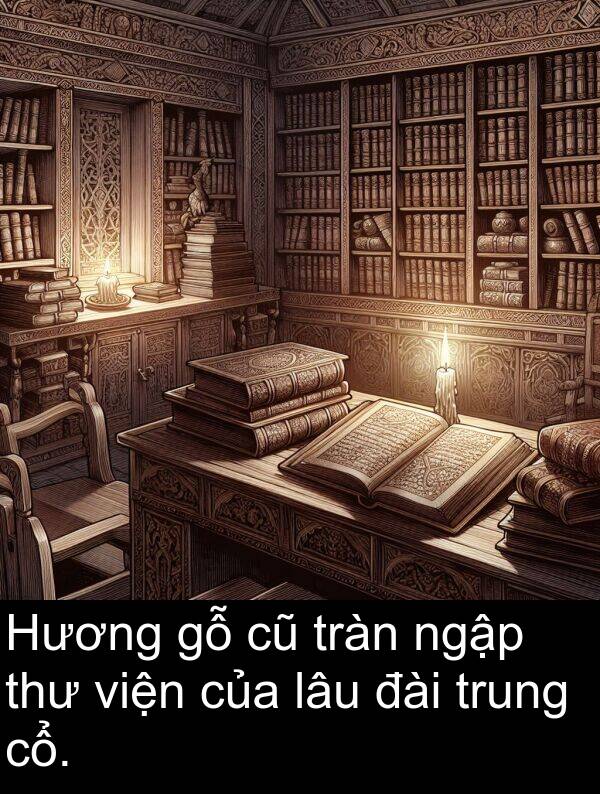 đài: Hương gỗ cũ tràn ngập thư viện của lâu đài trung cổ.