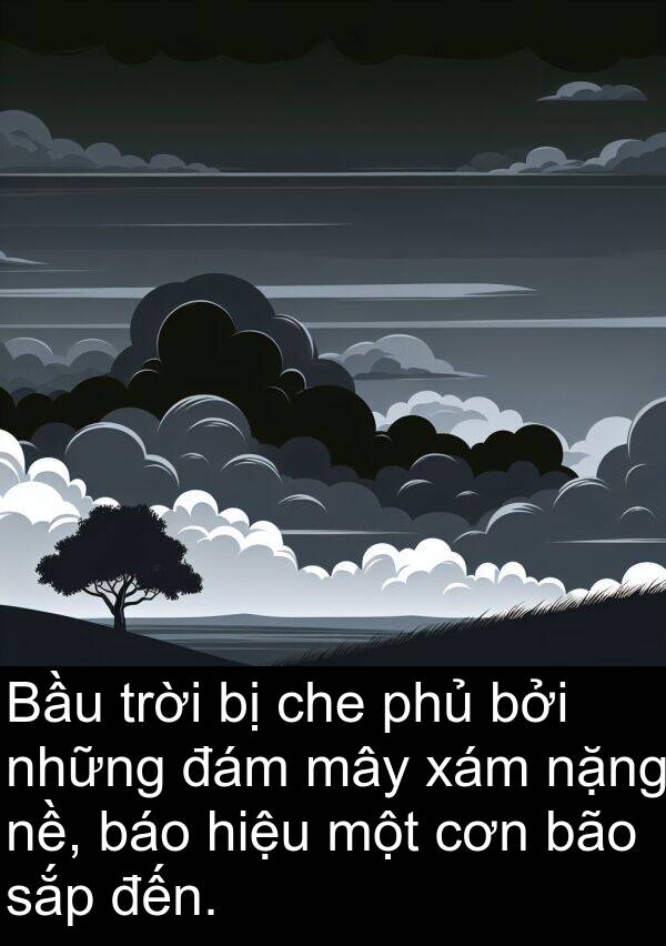 xám: Bầu trời bị che phủ bởi những đám mây xám nặng nề, báo hiệu một cơn bão sắp đến.