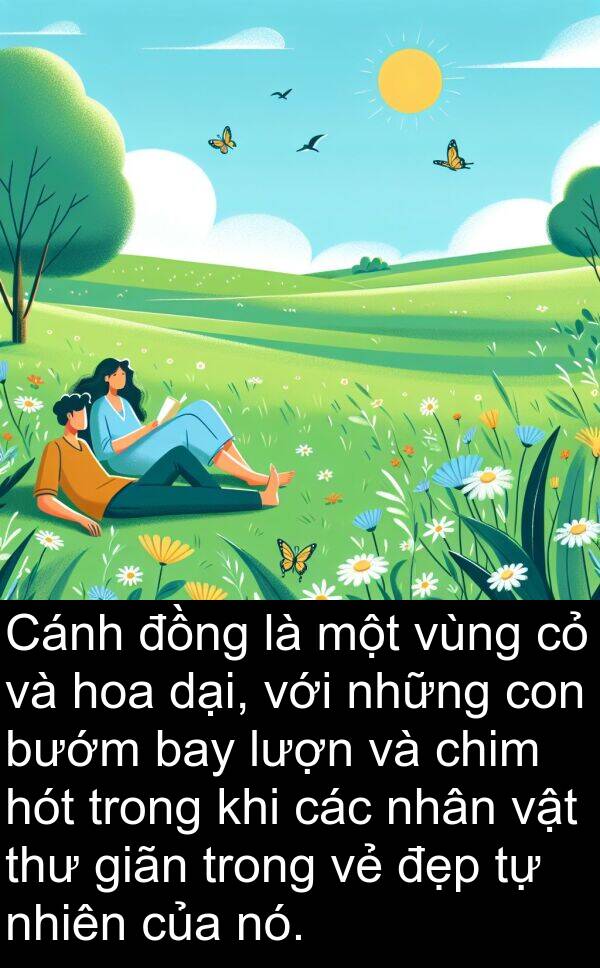 giãn: Cánh đồng là một vùng cỏ và hoa dại, với những con bướm bay lượn và chim hót trong khi các nhân vật thư giãn trong vẻ đẹp tự nhiên của nó.