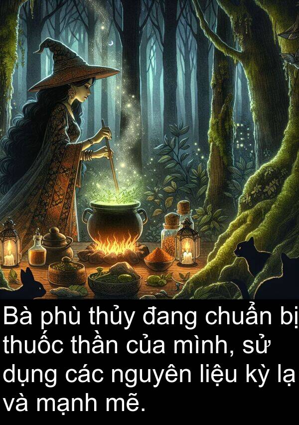 mẽ: Bà phù thủy đang chuẩn bị thuốc thần của mình, sử dụng các nguyên liệu kỳ lạ và mạnh mẽ.