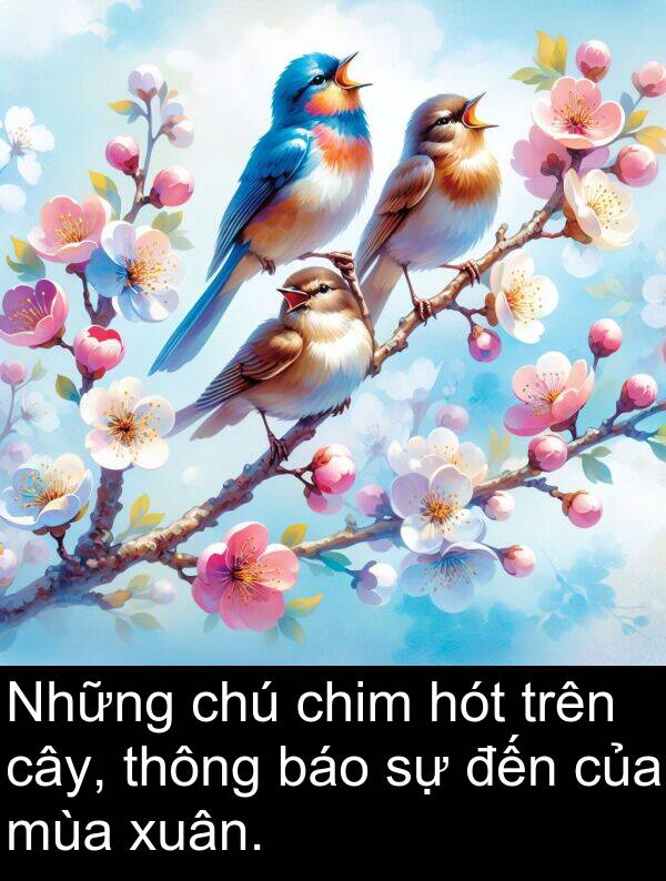 báo: Những chú chim hót trên cây, thông báo sự đến của mùa xuân.