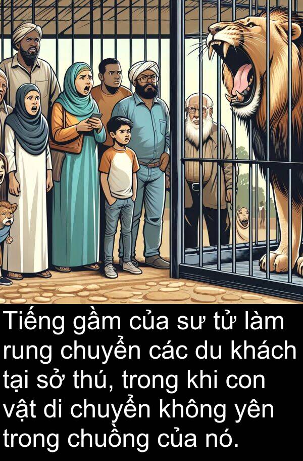 gầm: Tiếng gầm của sư tử làm rung chuyển các du khách tại sở thú, trong khi con vật di chuyển không yên trong chuồng của nó.