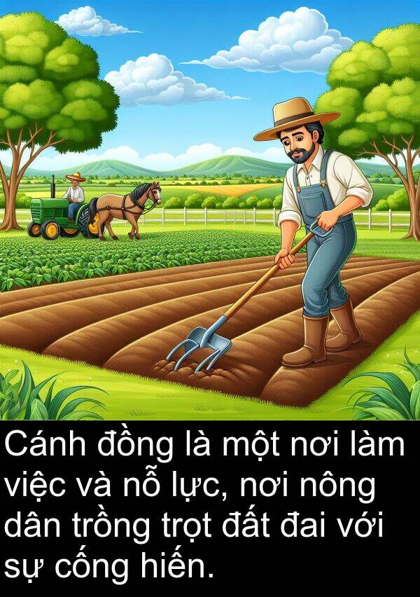 đai: Cánh đồng là một nơi làm việc và nỗ lực, nơi nông dân trồng trọt đất đai với sự cống hiến.