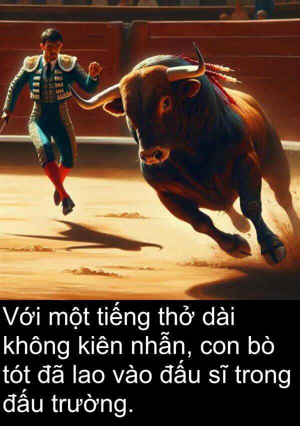 đấu: Với một tiếng thở dài không kiên nhẫn, con bò tót đã lao vào đấu sĩ trong đấu trường.