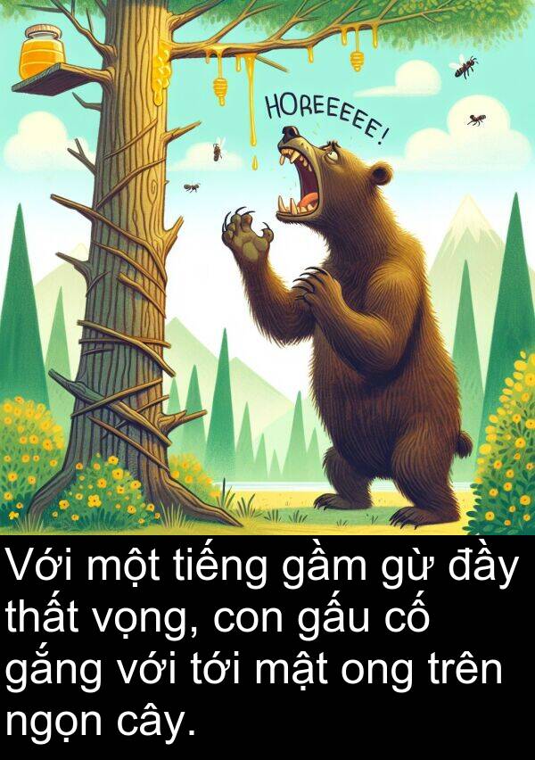 mật: Với một tiếng gầm gừ đầy thất vọng, con gấu cố gắng với tới mật ong trên ngọn cây.
