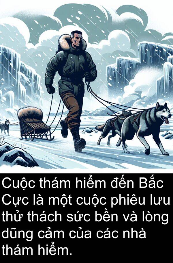lưu: Cuộc thám hiểm đến Bắc Cực là một cuộc phiêu lưu thử thách sức bền và lòng dũng cảm của các nhà thám hiểm.
