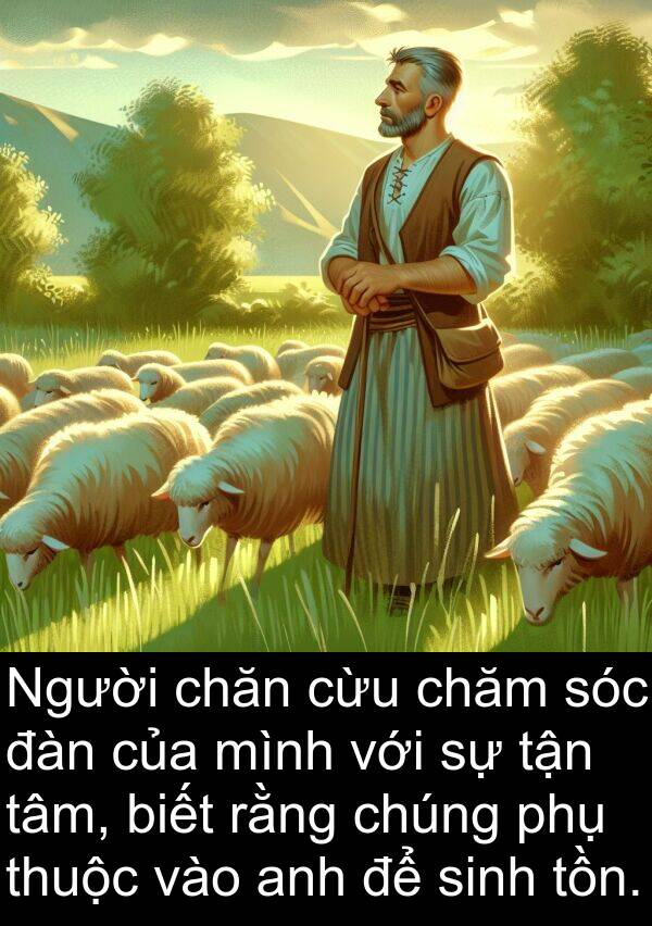 chăn: Người chăn cừu chăm sóc đàn của mình với sự tận tâm, biết rằng chúng phụ thuộc vào anh để sinh tồn.