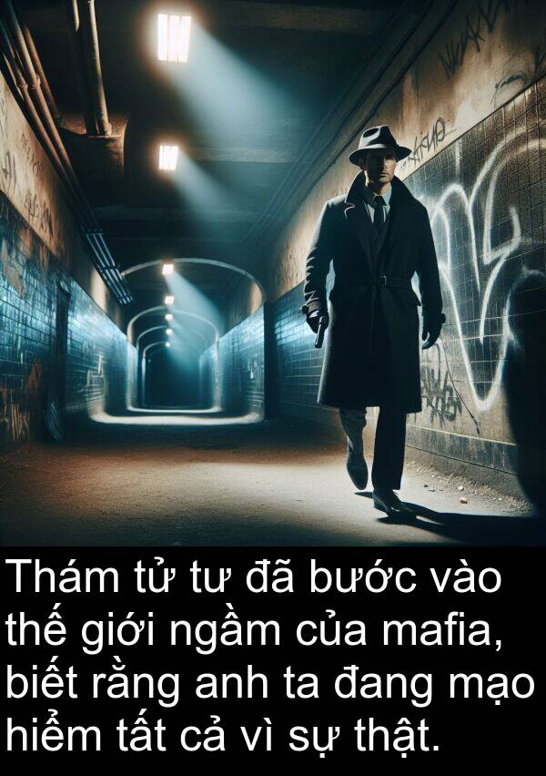 bước: Thám tử tư đã bước vào thế giới ngầm của mafia, biết rằng anh ta đang mạo hiểm tất cả vì sự thật.