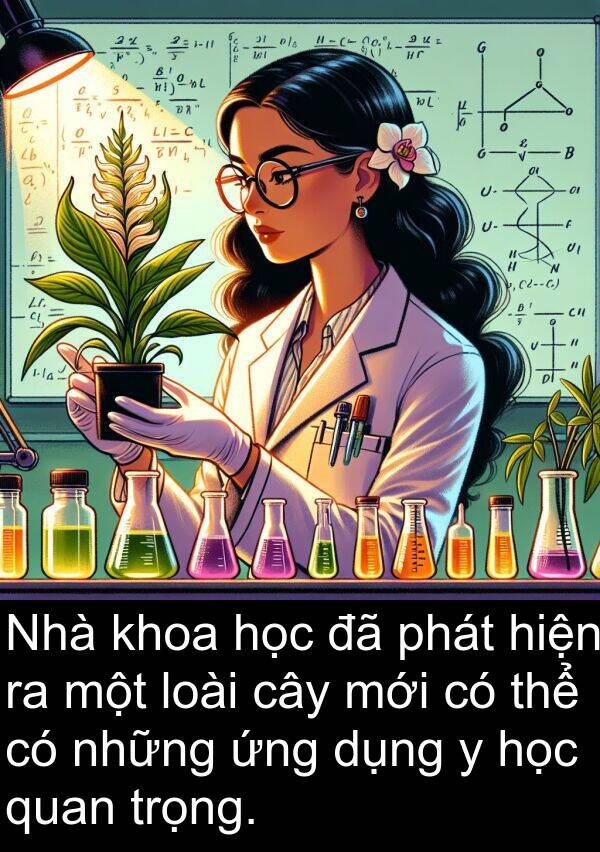 ứng: Nhà khoa học đã phát hiện ra một loài cây mới có thể có những ứng dụng y học quan trọng.