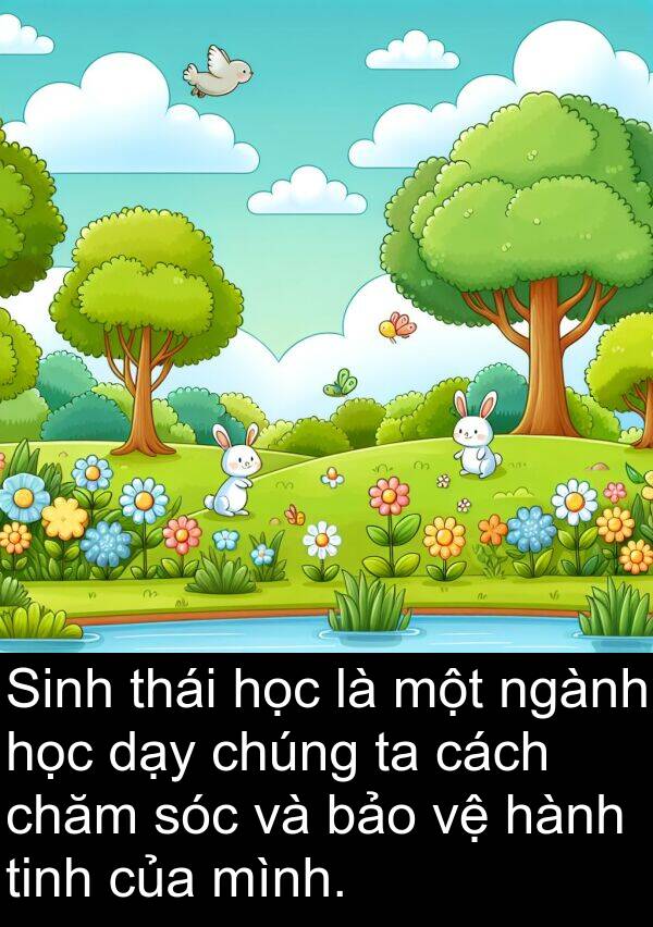ngành: Sinh thái học là một ngành học dạy chúng ta cách chăm sóc và bảo vệ hành tinh của mình.