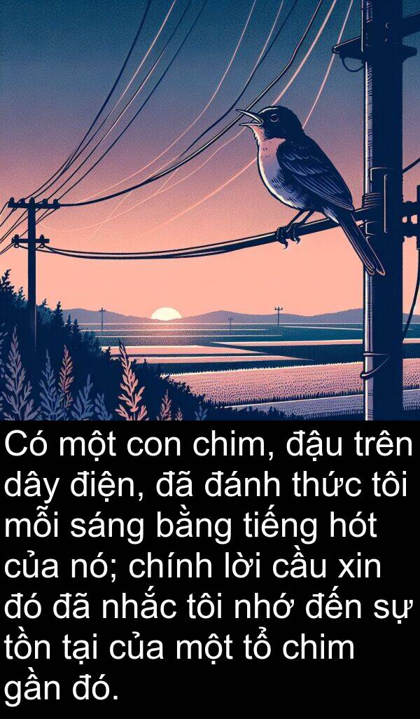 điện: Có một con chim, đậu trên dây điện, đã đánh thức tôi mỗi sáng bằng tiếng hót của nó; chính lời cầu xin đó đã nhắc tôi nhớ đến sự tồn tại của một tổ chim gần đó.