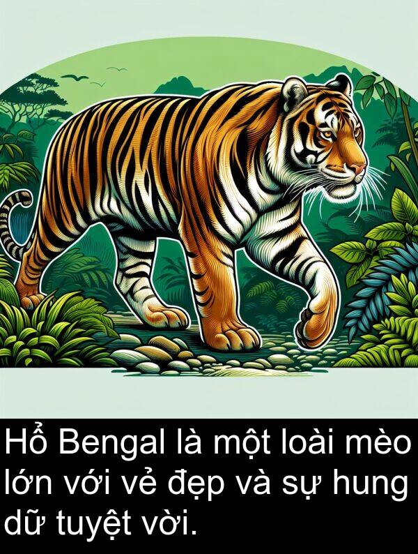 hung: Hổ Bengal là một loài mèo lớn với vẻ đẹp và sự hung dữ tuyệt vời.