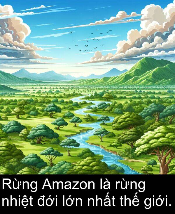 rừng: Rừng Amazon là rừng nhiệt đới lớn nhất thế giới.