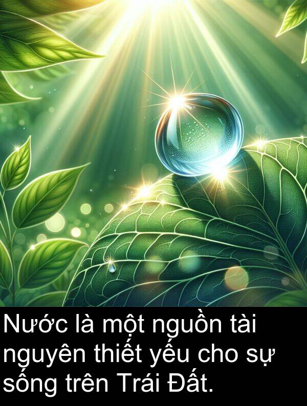nguồn: Nước là một nguồn tài nguyên thiết yếu cho sự sống trên Trái Đất.