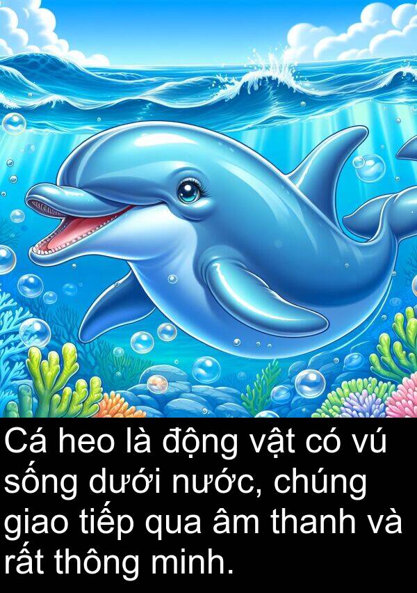 minh: Cá heo là động vật có vú sống dưới nước, chúng giao tiếp qua âm thanh và rất thông minh.