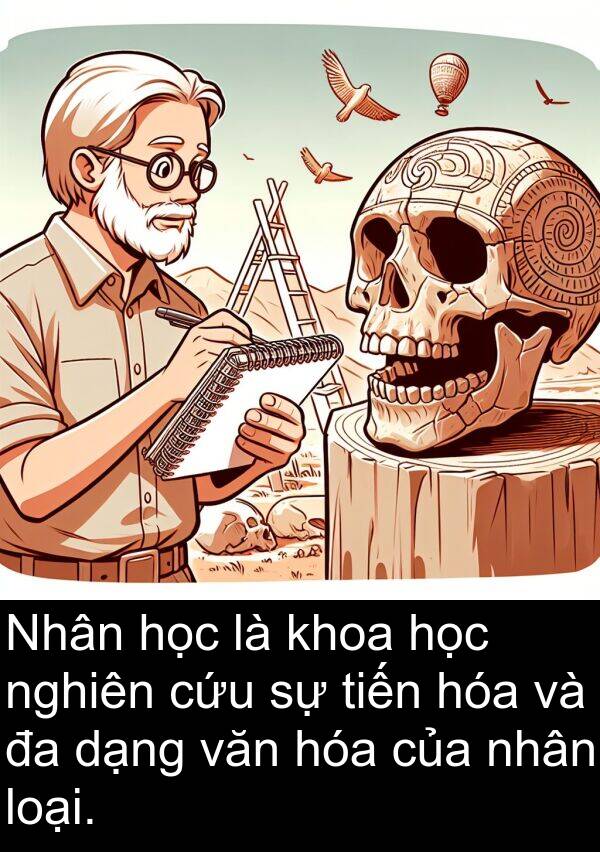 dạng: Nhân học là khoa học nghiên cứu sự tiến hóa và đa dạng văn hóa của nhân loại.