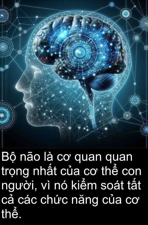 soát: Bộ não là cơ quan quan trọng nhất của cơ thể con người, vì nó kiểm soát tất cả các chức năng của cơ thể.