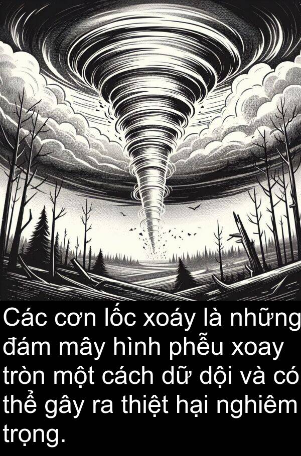 xoáy: Các cơn lốc xoáy là những đám mây hình phễu xoay tròn một cách dữ dội và có thể gây ra thiệt hại nghiêm trọng.