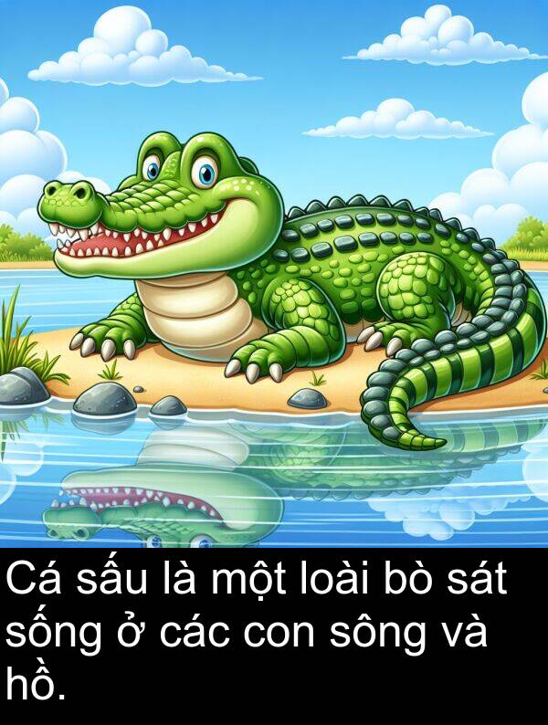 sống: Cá sấu là một loài bò sát sống ở các con sông và hồ.